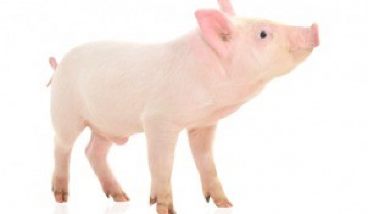 Fotka - Zmeny v registrácii chovu