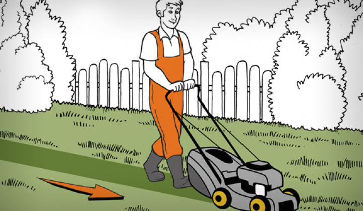 Fotka - KOSENIE CINTORÍNA