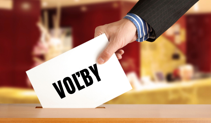 Fotka - Voľby do Európskeho parlamentu 2024